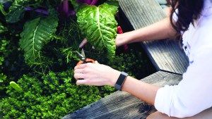 fitbit_arge_3_lifestyle_gardening_1790