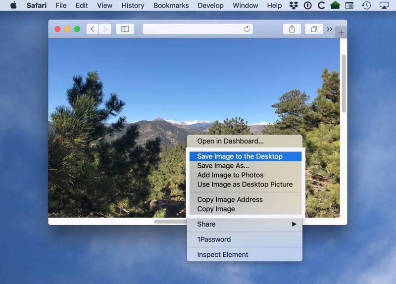 safari obrázek menu kliknutím pravým tlačítkem