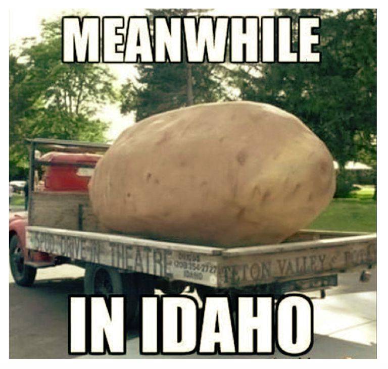 Enquanto isso em Idaho meme