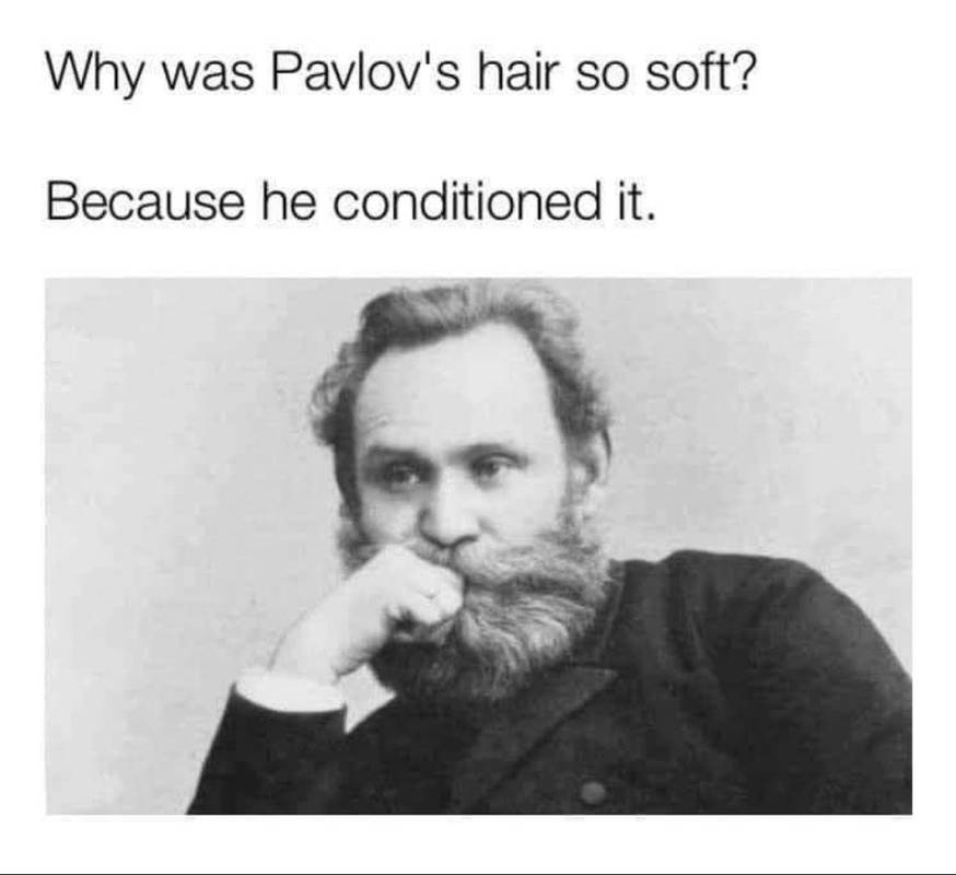 Meme Pavlov