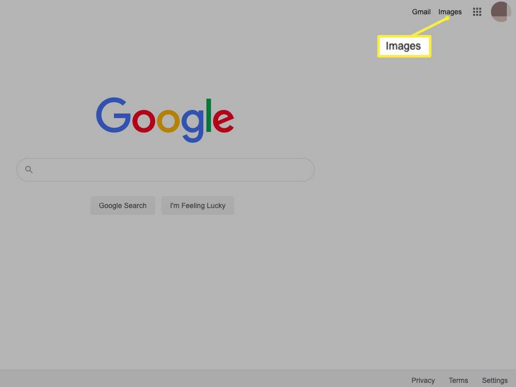 Google-kuvahaun linkki