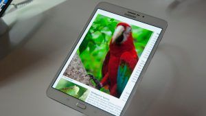 samsung_galaxy_tab_s2 _-_ front_parrot