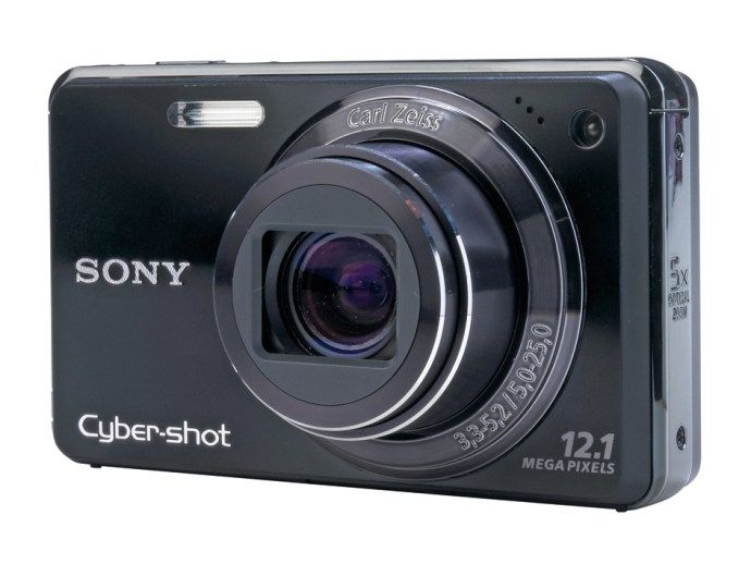 Sony Cyber-shot DSC-W290
