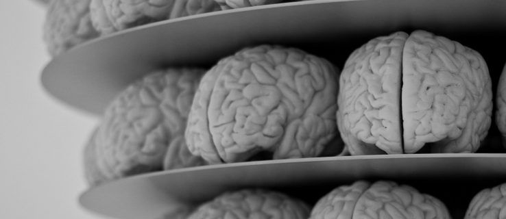 Adakah Internet Menjadikan Otak Kita Malas?