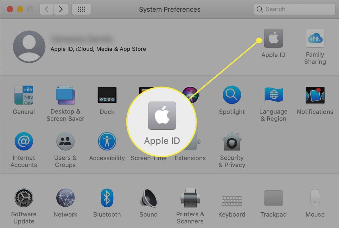 Předvolby systému v macOS se zvýrazněným Apple ID