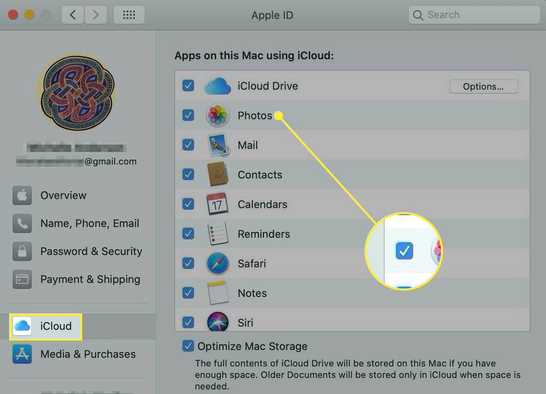 Apple ID -asetukset macOS:ssä, iCloud-otsikko ja valokuvat -vaihtoehto korostettuina