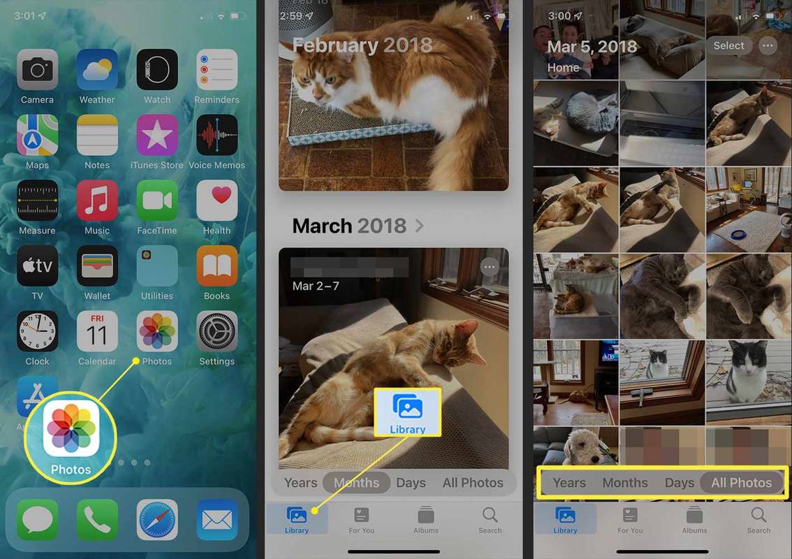 iPhone menampilkan aplikasi dan opsi Foto