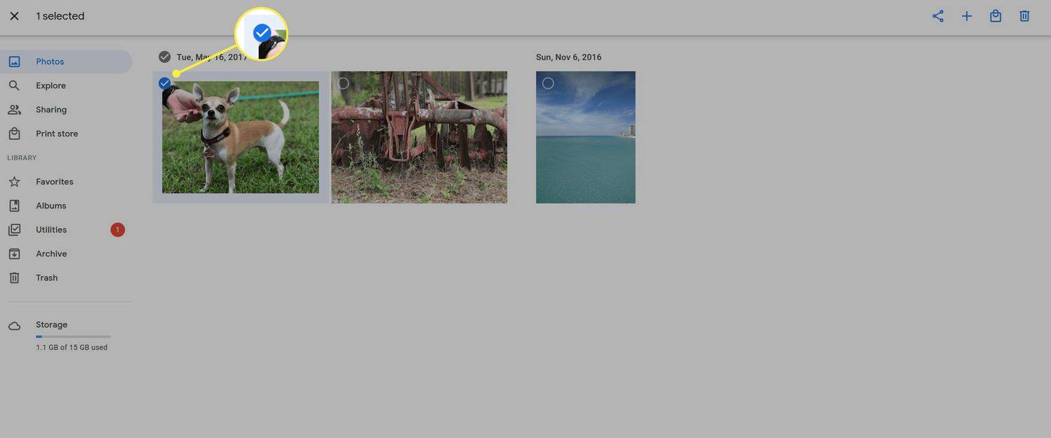 Kde vybrať jednotlivý obrázok na export vo Fotkách Google.