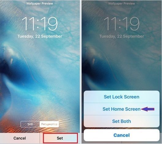 Com canviar el fons de pantalla al vostre iPhone 6S