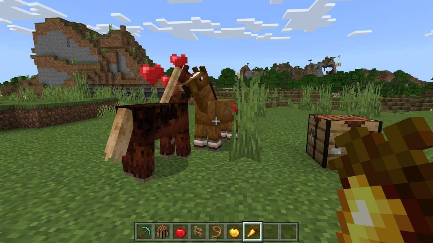 Memberi makan Wortel Emas kepada kuda dengan hati di atas kepalanya di Minecraft