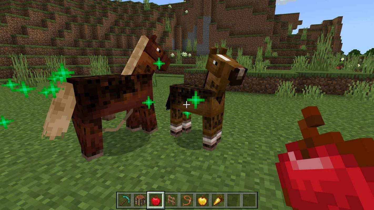 Memberi makan apel kepada bayi kuda di Minecraft