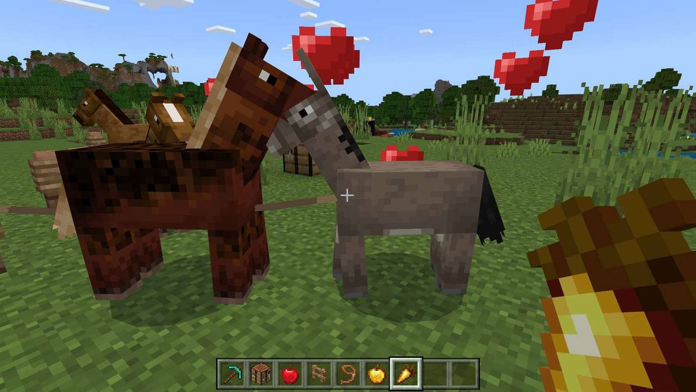 „Minecraft“ arklys ir asilas su širdelėmis virš galvų