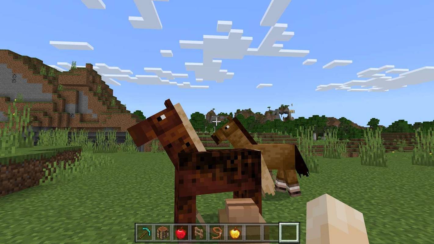 Deux chevaux attachés à des poteaux dans Minecraft