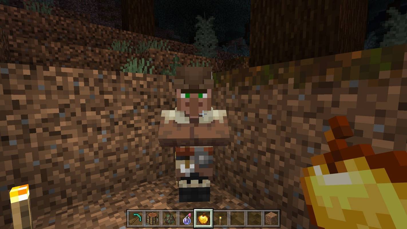 En landsbyboer i Minecraft