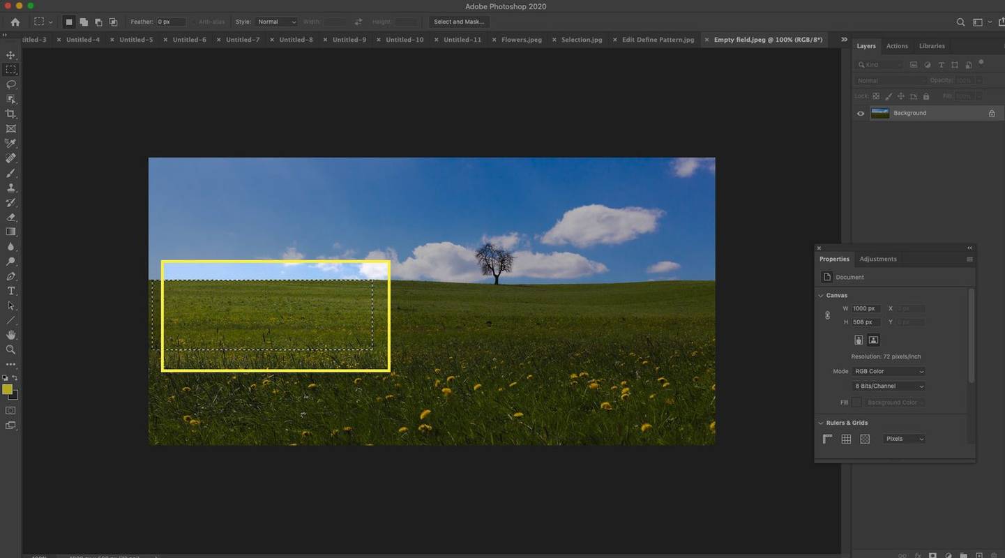 Imagen de Photoshop de un campo con el área seleccionada resaltada