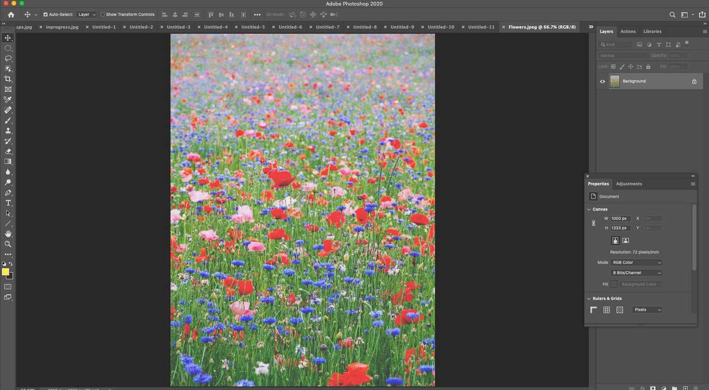 Photoshop s obrázkom kvetov na poli.