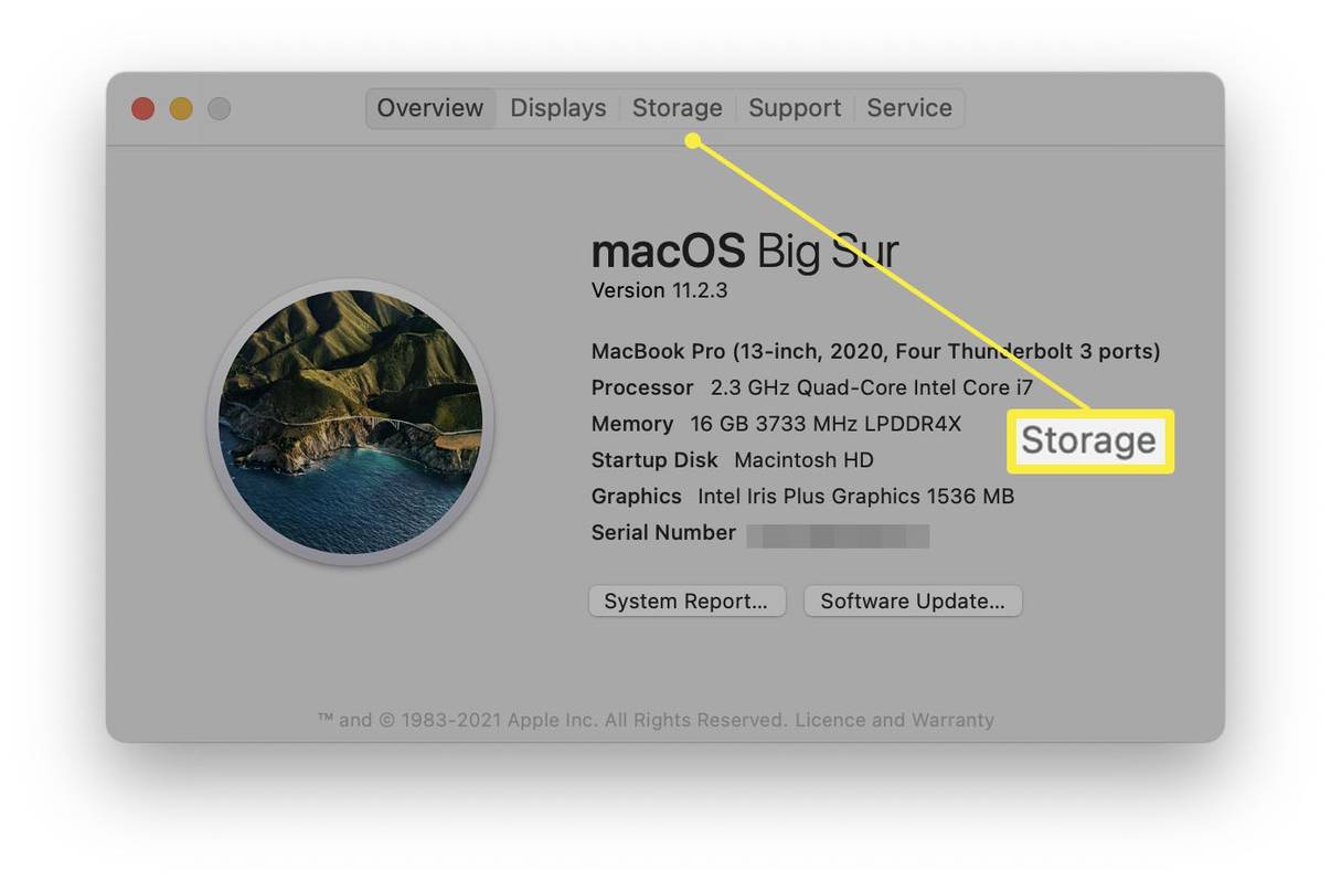 macOS Tietoja tästä Macista, jossa tallennustila on korostettuna