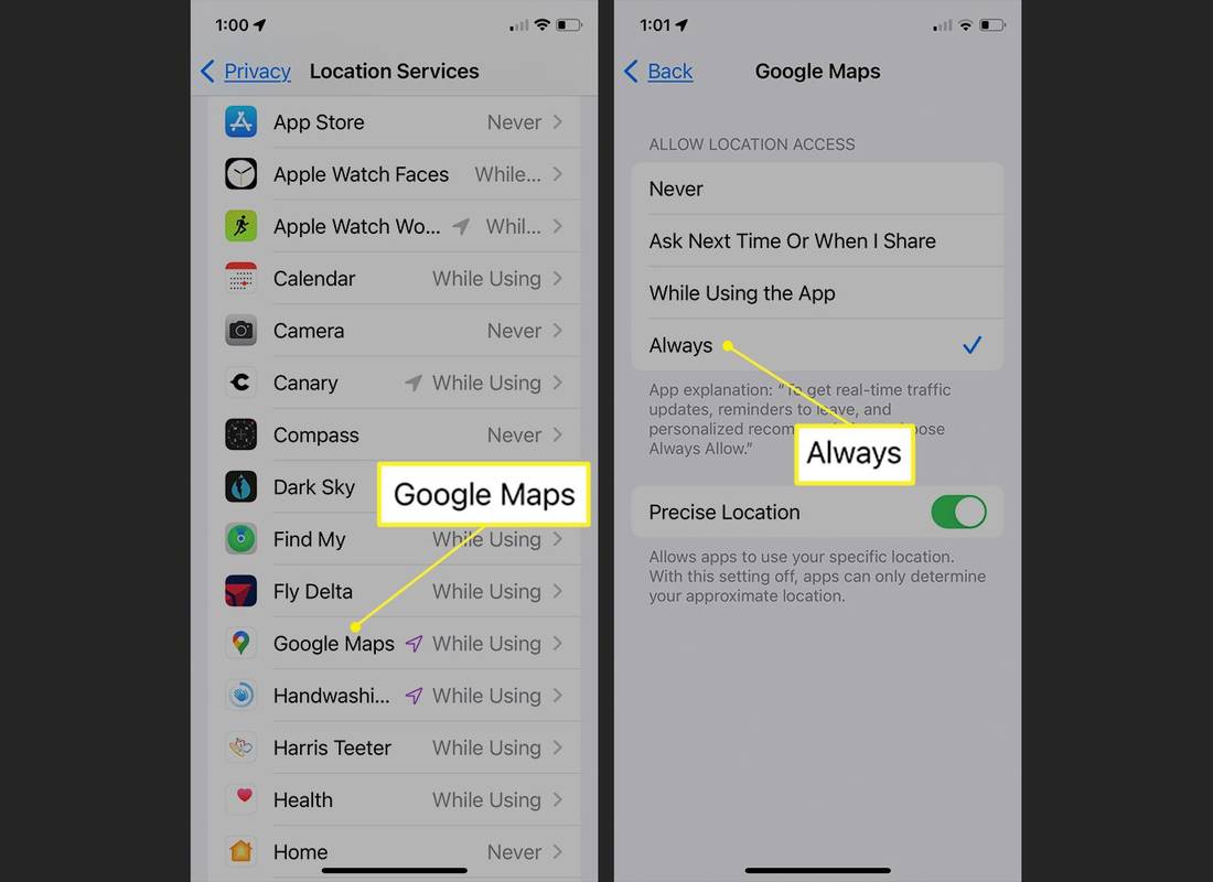 Google 지도가 선택된 iPhone 위치 서비스 화면
