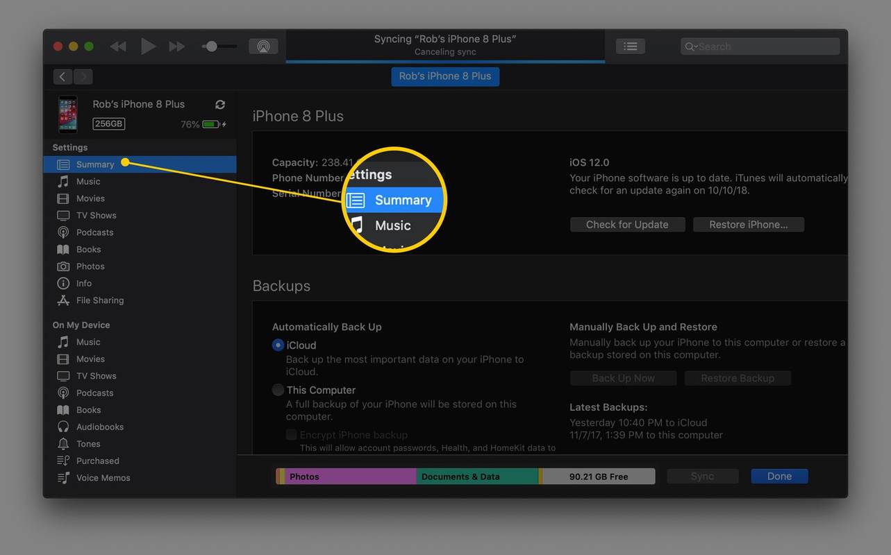 Sammendrag-fanen i iTunes på macOS