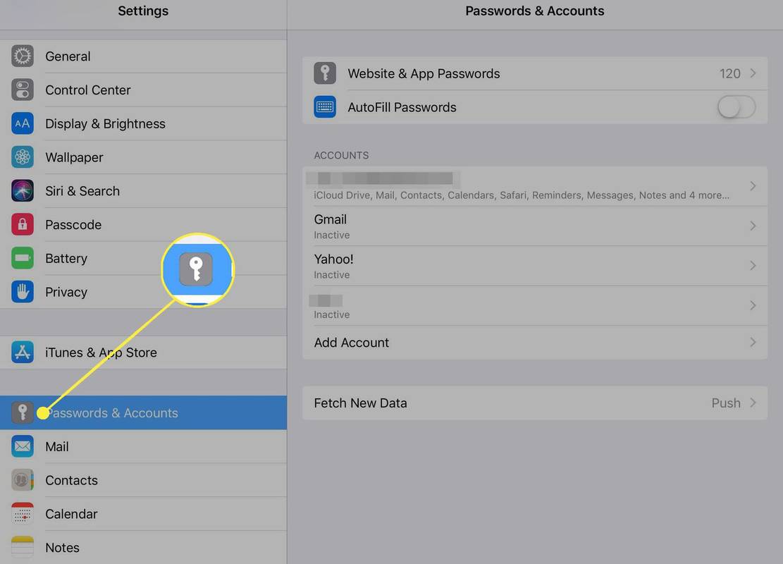 Section Mot de passe et comptes dans les paramètres iTunes