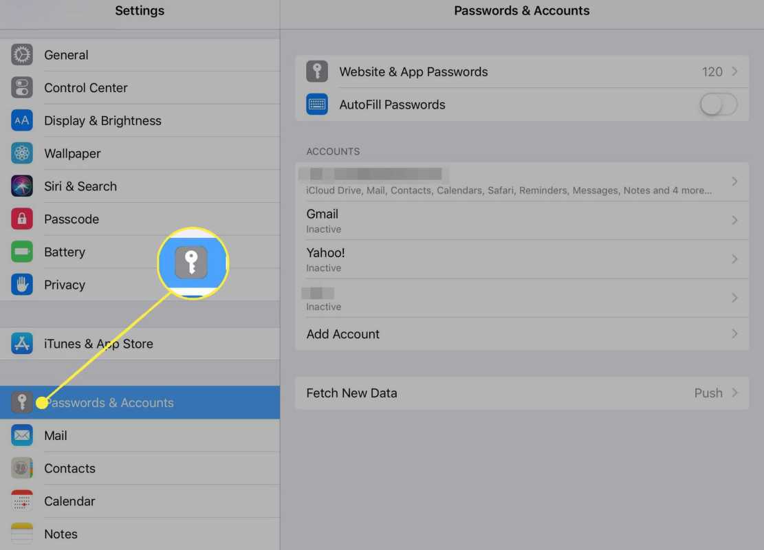 Seksyon ng Password at Mga Account sa mga setting ng iTunes