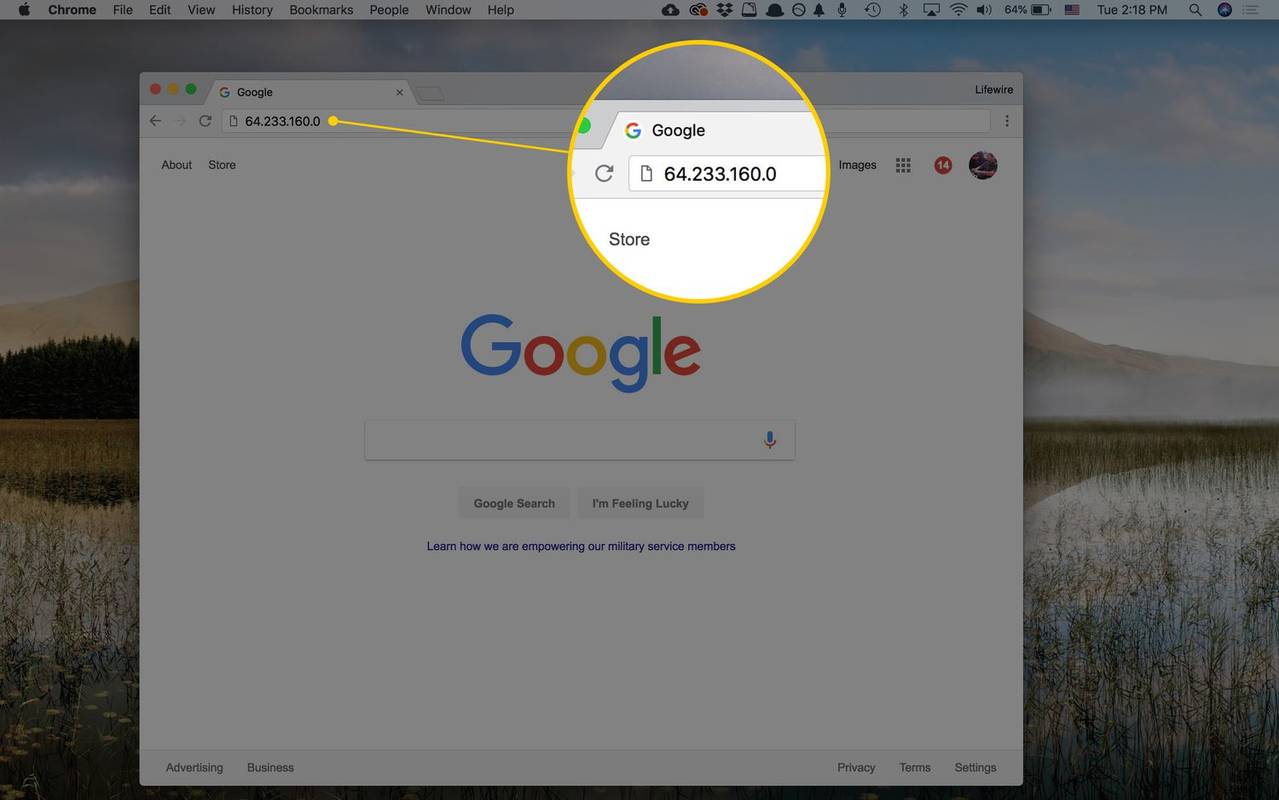 Satu alamat IP Google di bilah URL Chrome di Mac