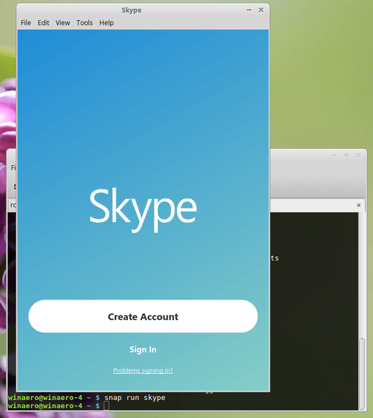 Linux Installige Skype Snap Img5