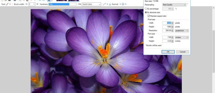 Jak zvýšit rozlišení existujícího obrazu pomocí Paint.NET