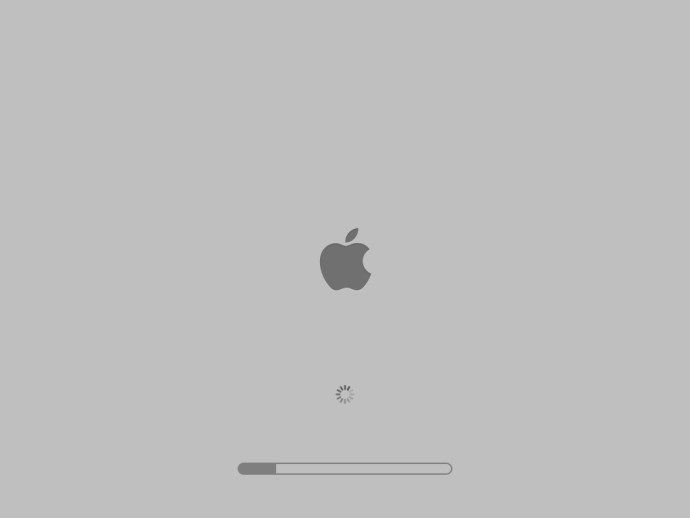 Démarrage sécurisé OS X