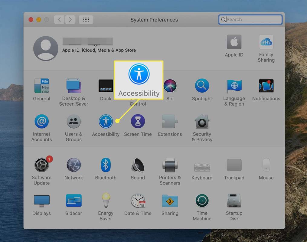 macOS سسٹم کی ترجیحات سے قابل رسائی اختیارات کا آئیکن