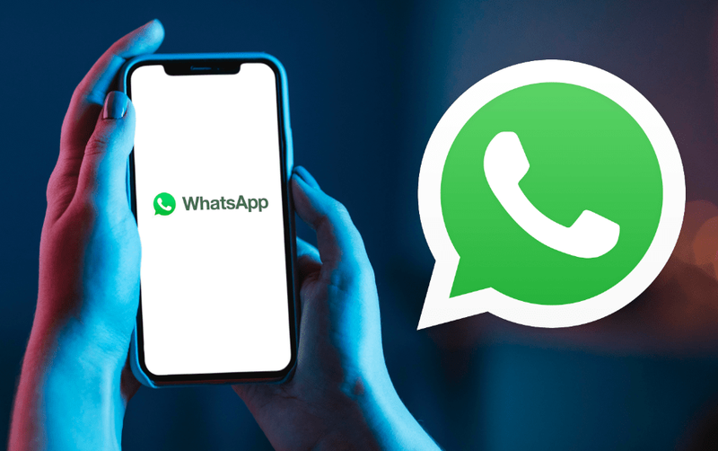 Jak zakázat volání v WhatsApp
