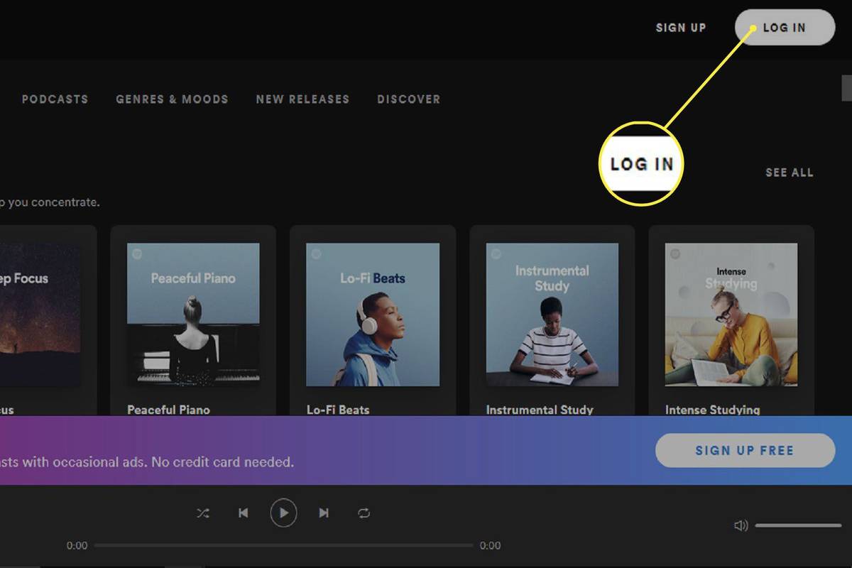 Gumb LOG IN za Spotify Web Player