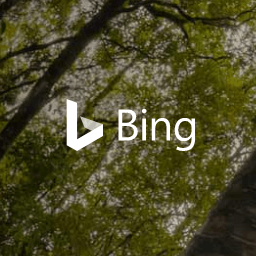 أصدرت Microsoft تطبيق Bing Wallpapers لنظام Android