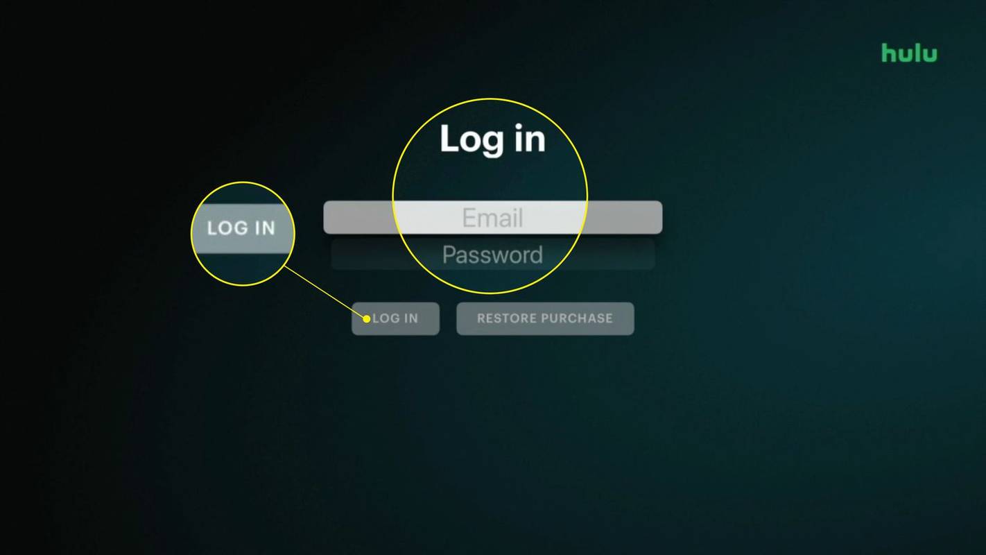 หน้าเข้าสู่ระบบในแอป Hulu ที่ไฮไลต์ช่องเข้าสู่ระบบและอีเมล/รหัสผ่านไว้