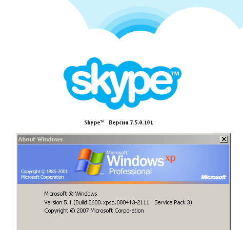 Skype Windows XP fix