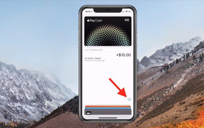 „Apple Pay“ grynųjų pinigų kortelės informacijos ekranas