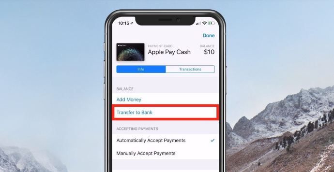 Apple Pay Cash 카드 세부 정보 화면