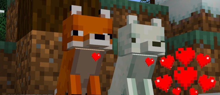 Jak zkrotit lišku v Minecraftu