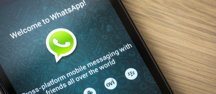 Suerzinkite savo draugus naudodami GIF palaikymą „WhatsApp“
