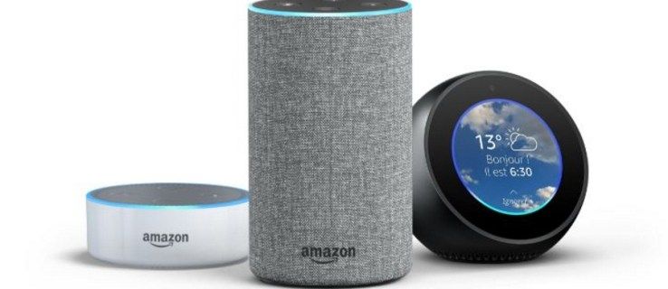 Ar „Amazon Echo“ veikia su keliais vartotojais?