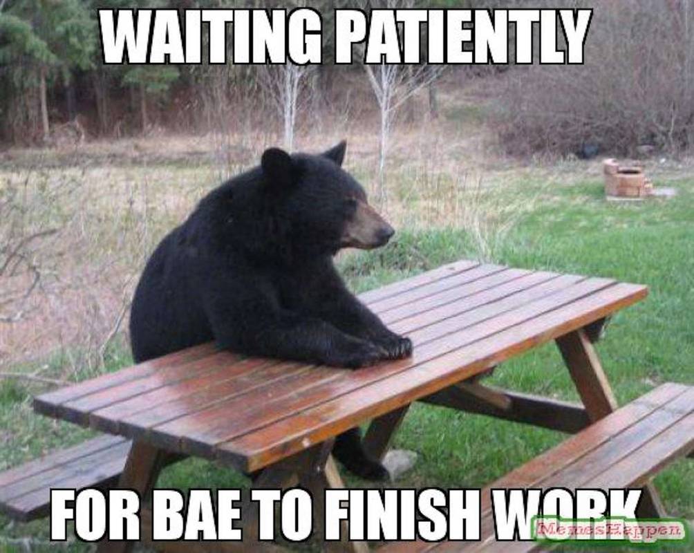Bear picnic table bae meme