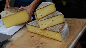 גבינות שוויצריות_פטופוביה