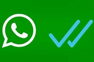 WhatsApp überprüfen, ob jemand online ist