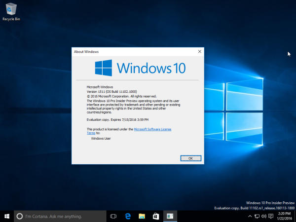 Windows 10 membangun 11102 winver