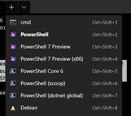 Détection automatique du terminal 0.9 PowerShell