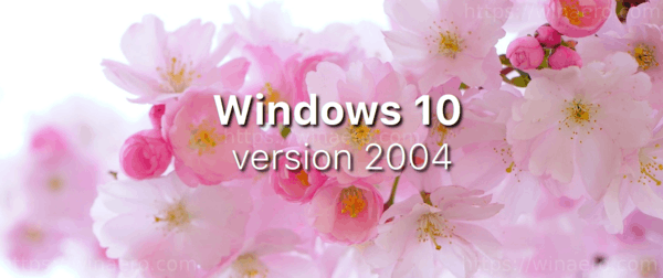 WIndows 10 الإصدار 2004 20h1 لافتة
