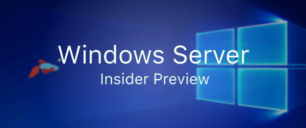 Logotip del bàner de previsualització de Windows Server Insider