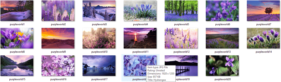 Life In Lavender Themepack Fonds d