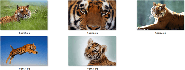 Tigers Themepack 바탕 화면