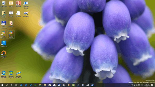 Balíček Windows 10 Flora 4 Themepack 02